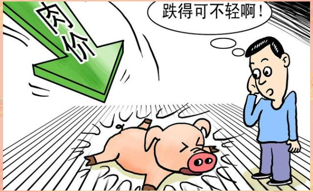 包含TON遭遇大幅下滑超22.8%，投资者恐慌性抛售的词条