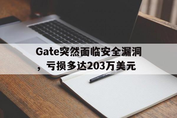 Gate突然面临安全漏洞，亏损多达203万美元